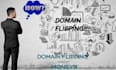 teach you domain flipping business