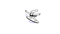create lottie json svg animation for web and app