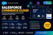 be your expert salesforce commerce cloud developer or sfcc bug fix