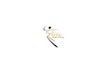 create a capturing dance school excellent logo