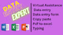 do pro data entry form in ms word excel