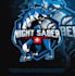 design a professional modern esports logo
