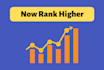 provide an expert SEO audit report with recommendations
