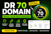 increase domain rating, ahrefs DR 70 plus