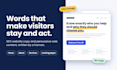 write SEO website copy and persuasive web content