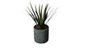 model and render textured 3d plants