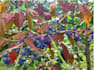 custom image annotation,segmentation, data labeling for ai and machine learninng