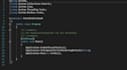 develop software, fix bugs, improve your app in csharp net on windows or linux