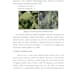do best essay writing without plagiarism