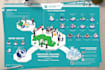 create custom isometric illustration and infographic design