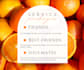 write your blogs, social media posts, and website content