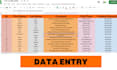 do data entry copy paste, web research, and excel data entry