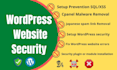 remove wordpress malware, malware removal, fix a hacked site