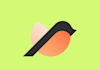 design bird logo with my creative thinking