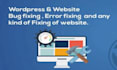 do wordpress plugin update and plugin bug fixes