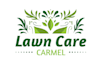 make modern luxury lawn care logo design