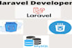 develop and customize laravel website