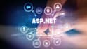 do web and desktop development in c sharp, asp net