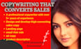 write persuasive emails  sequence and sale copy for your sale