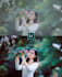 do bulk photo editing in lightroom