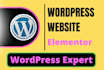 create modern responsive wordpress website using elementor