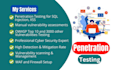 perform penetration testing and web vulnerability with security