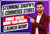 setup shopify ecommerce dropshipping store website