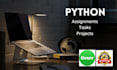 do python programming or python api