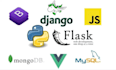create a website using python and mongodb