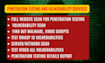 do website penetration testing or detect vulnerabilities and website security