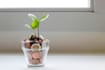 provide real estate investment coaching