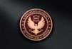 do modern high quality shield logo with unlimited revision