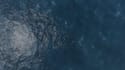 make sky into ocean logo reveal animation