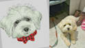 design embroidery digitizing in emb
