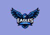 design bird logo with express delivery