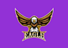 design bird logo with express delivery