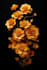 create professional flower or plant digital art
