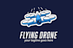 design high quality helicopter logo with express delivery