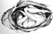 draw graphic black and white illustration
