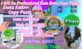do professional data entre,copy paste,web recharge,youtube