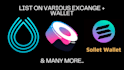 create a custom token on the solana blockchain