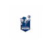design an attractive football wizard logo
