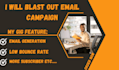 blast out bulk email campaign, bulk email generation for your niche
