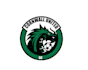 do a professional modern football, the dragon logo