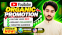 do super fast organic youtube video promotion for growth