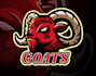 design high quality goat logo for you with my own creativity