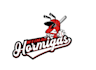make a baseball logo design with unlimited revisions