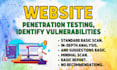 do website penetration testing, identify vulnerabilities