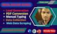 do data entry and virtual assistant, web research, data mining, copy paste