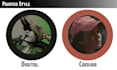 create custom, high quality, dnd character tokens